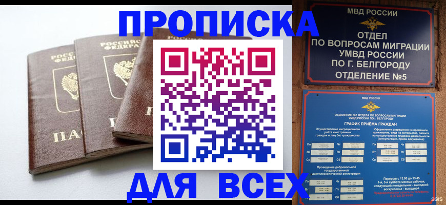 прописка в Киселёвске